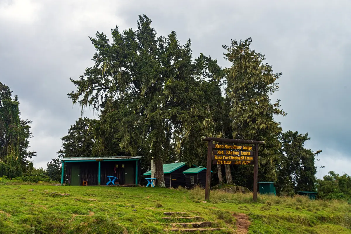 Wooden shelters and a signboard stand in a grassy clearing among trees