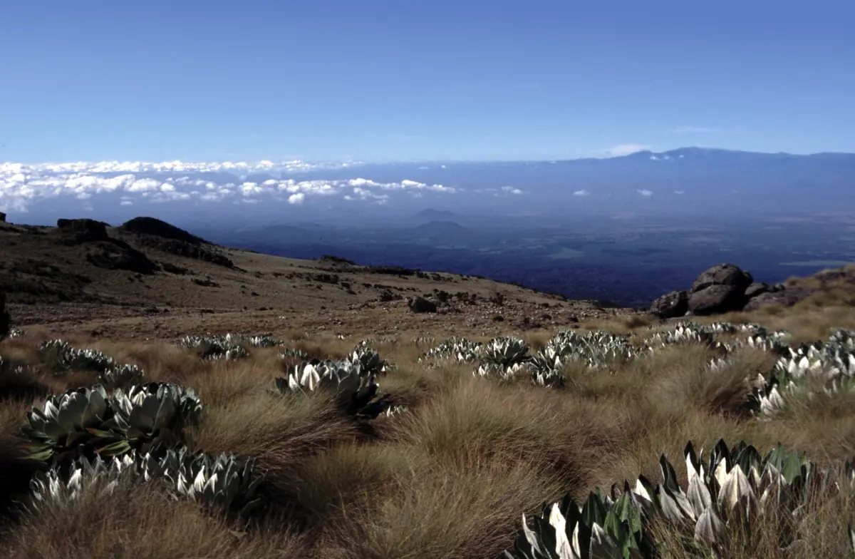 Alpine vegetation covers a plateau above a hazy lowland plain