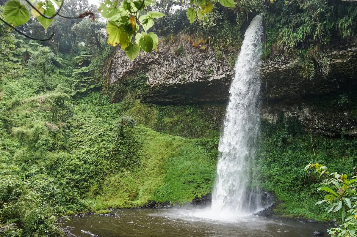 Waterfall drops over a ledge into a pool in green mountain forest