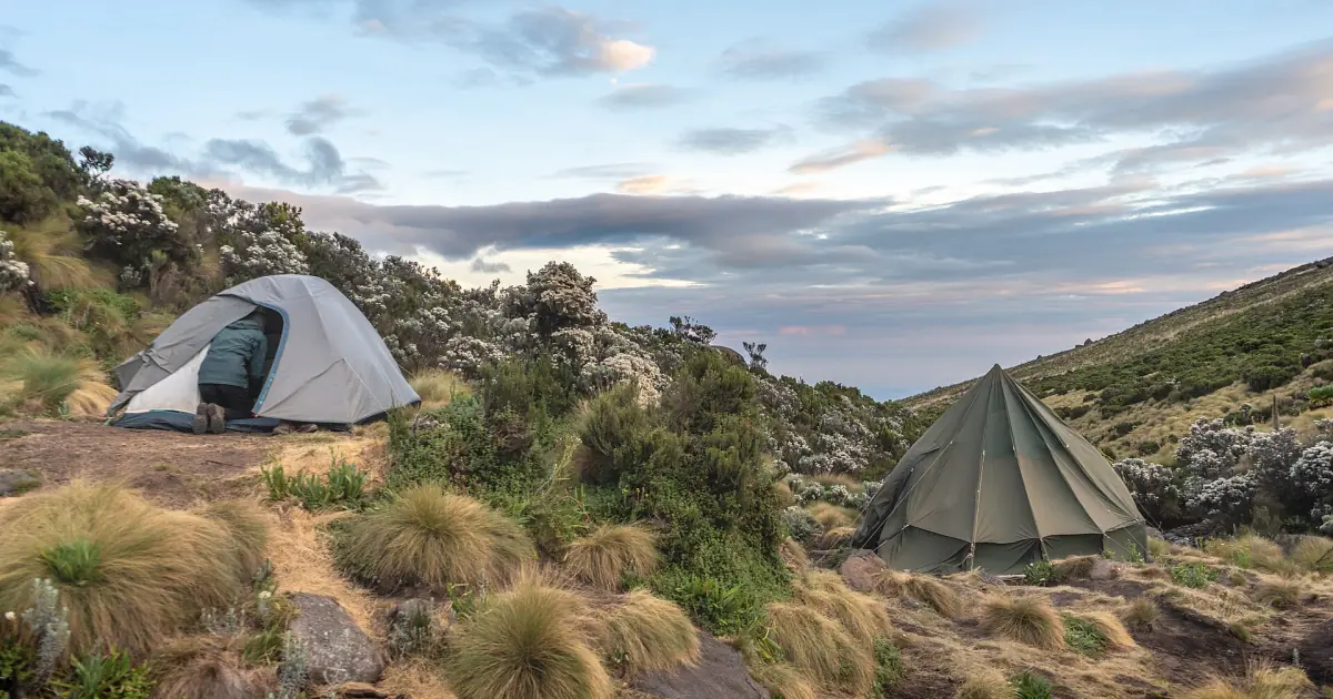 Deux tentes dressées sur des touffes d’herbe dans une vallée d’altitude au crépuscule