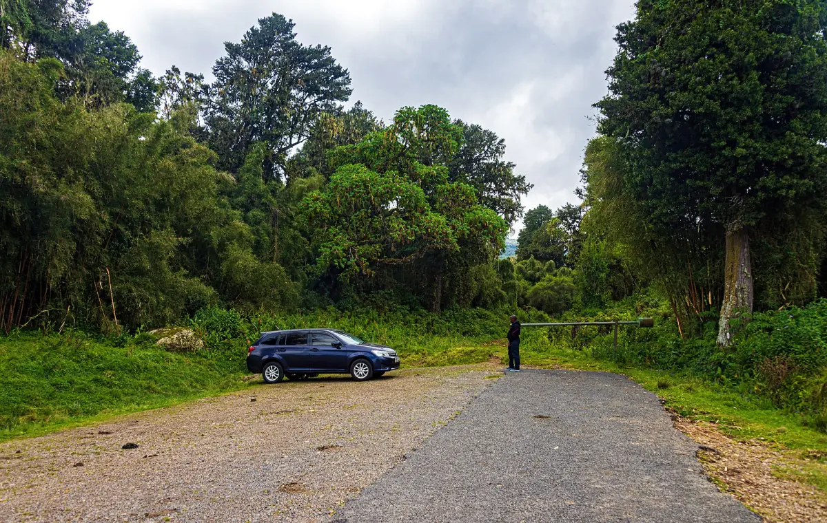 Une aire de stationnement en gravier au bout d’une route, entourée de grands arbres